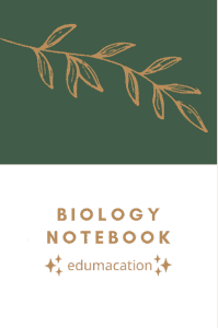Biology Notebook